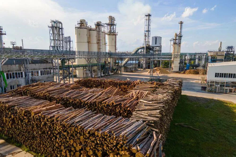 Les troncs d'arbres sont empilés les uns sur les autres