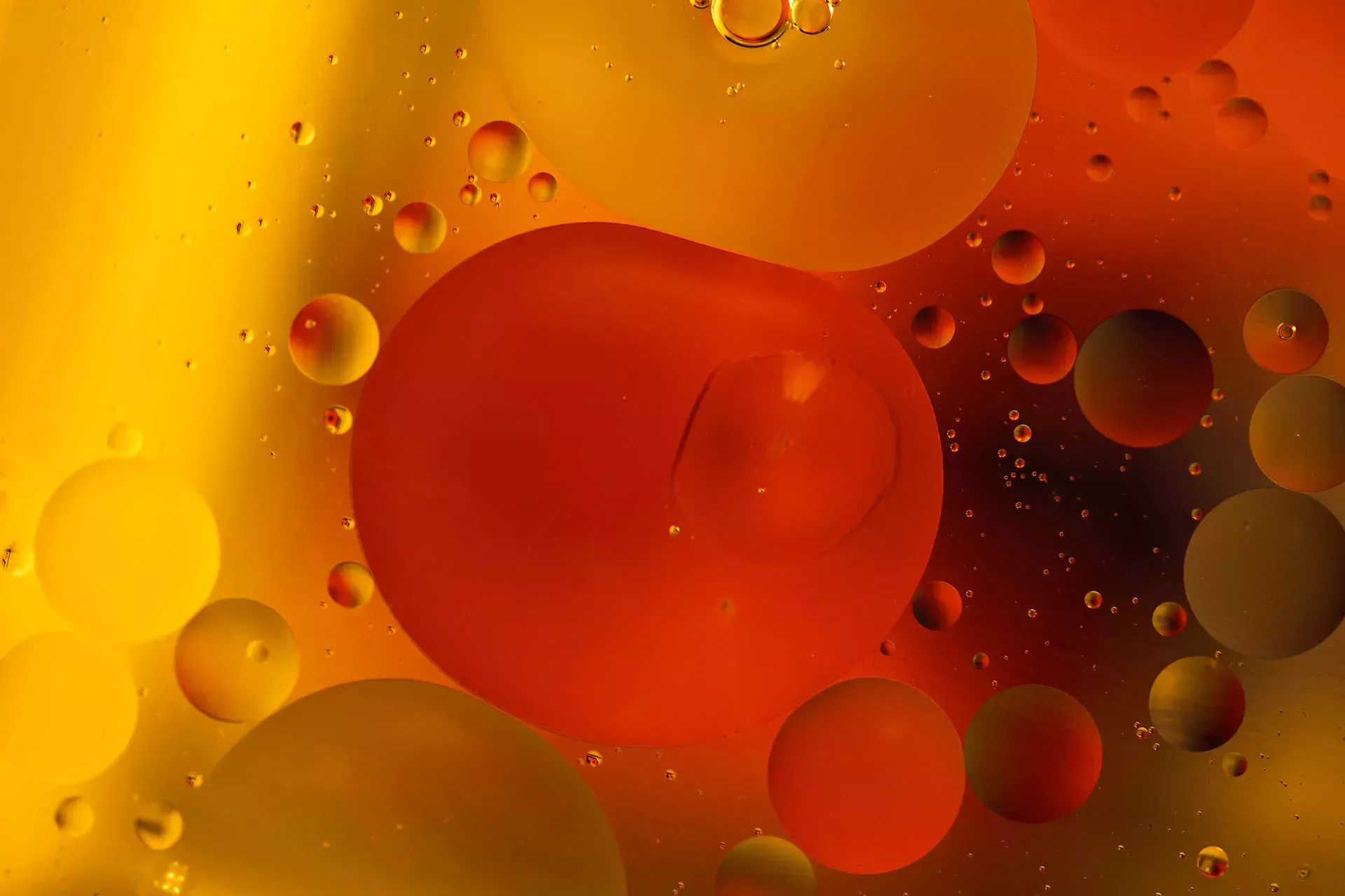 Offene Motorhaube eines Autos