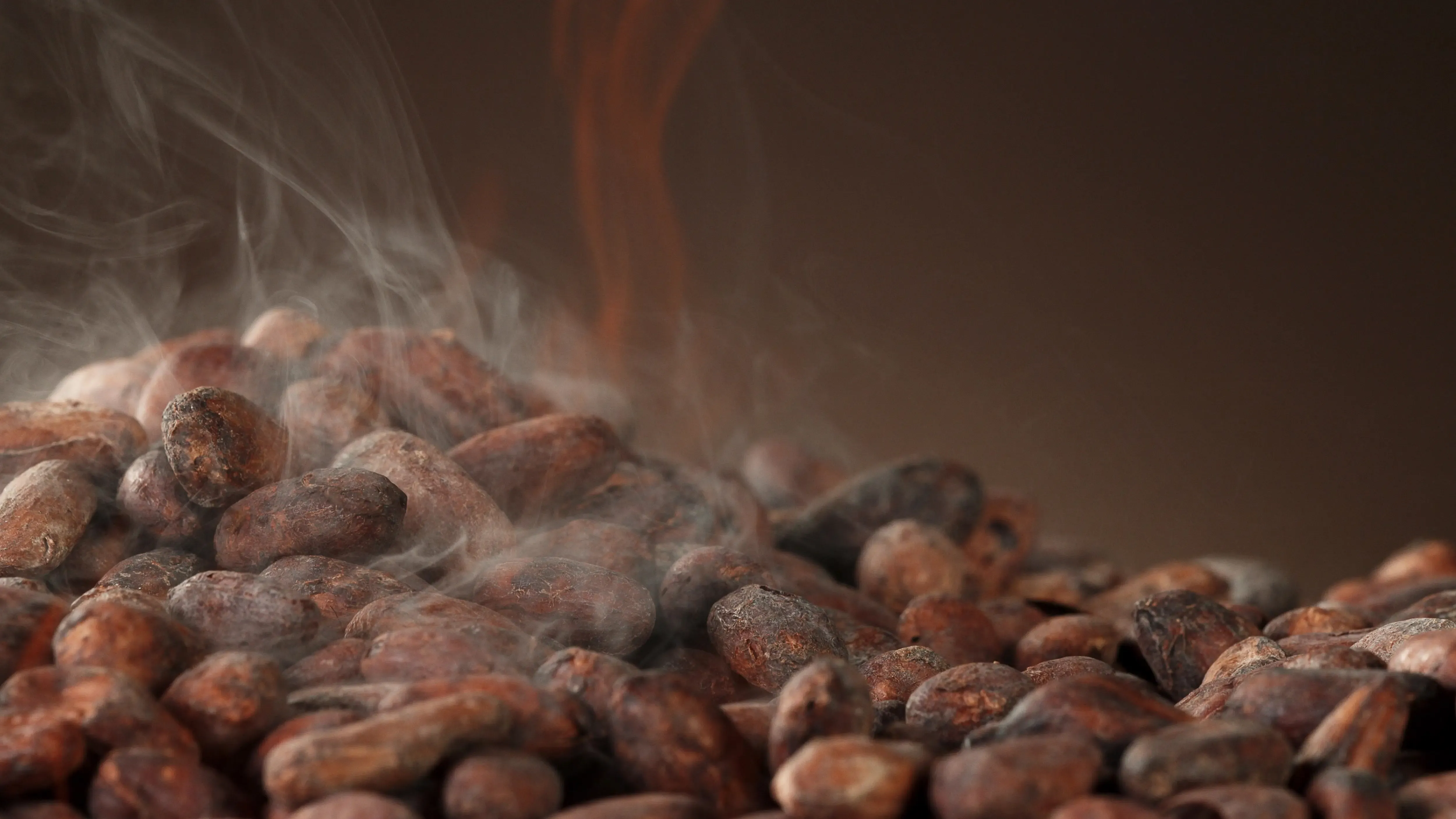 Fèves de cacao torréfiées